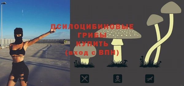 кокс Арсеньев
