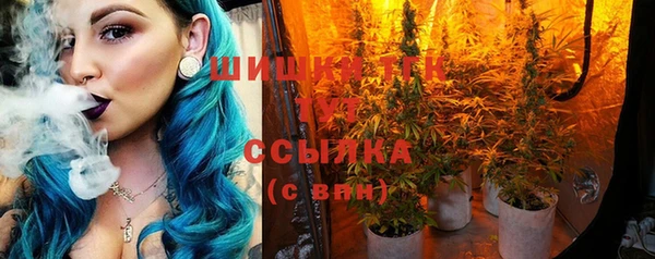 винт Аркадак