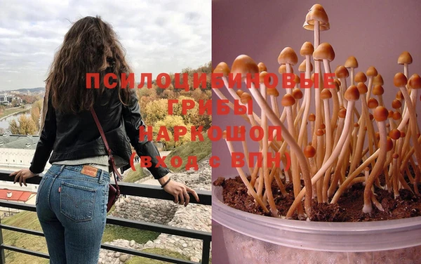 кокс Арсеньев